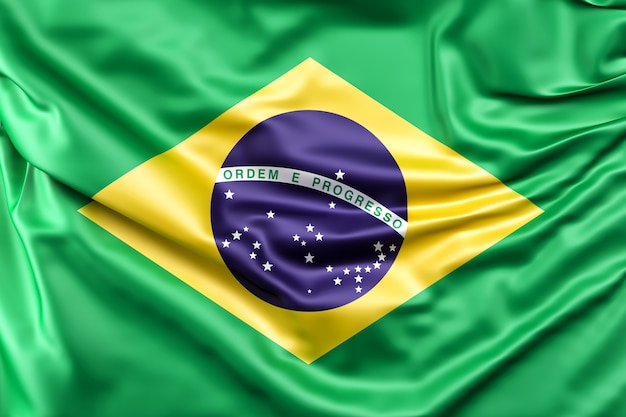 1193.1 Portugués iniciación (Brasil)